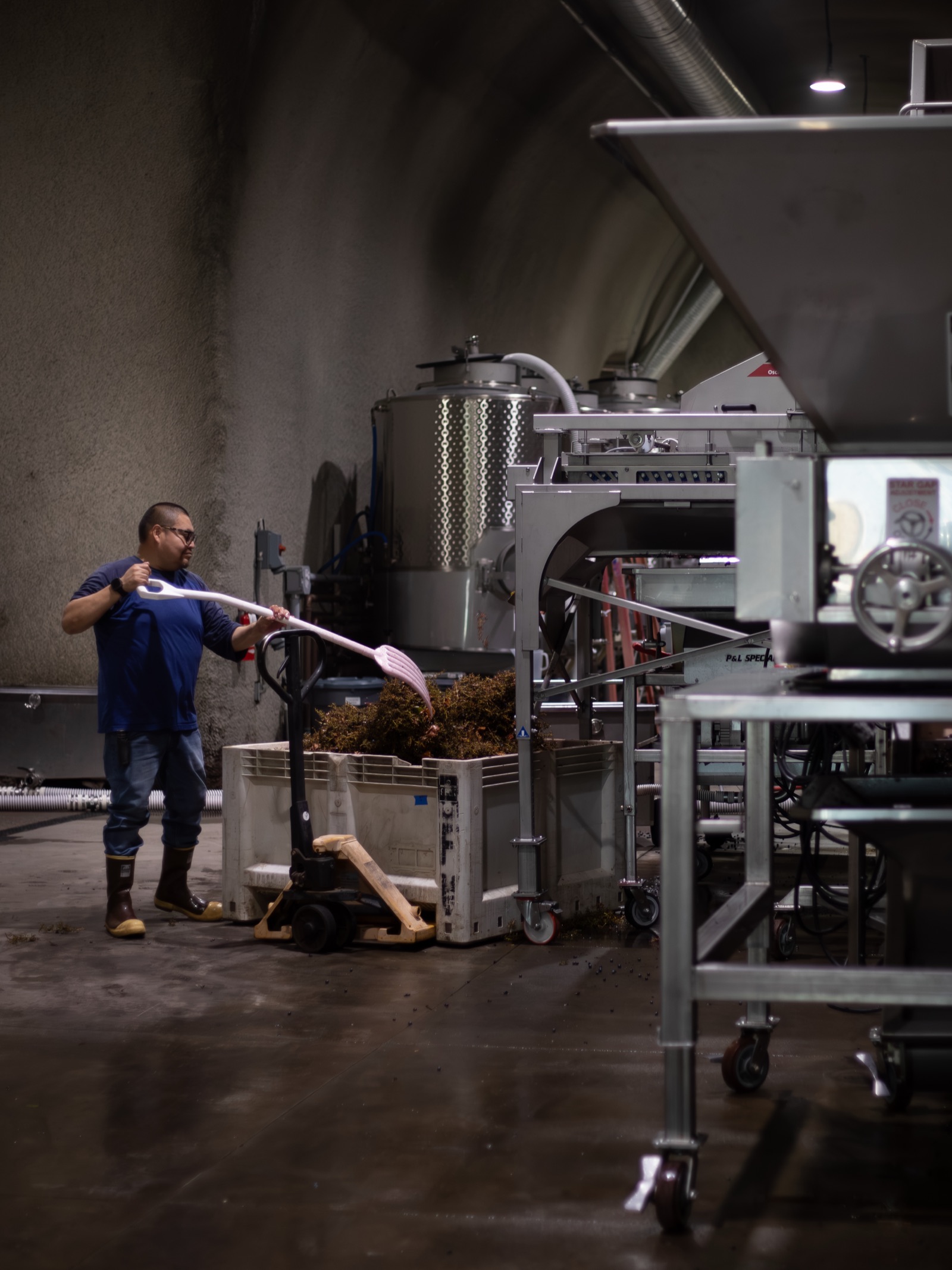 Cellar worker processing freshly harvested Cabernet Sauvignon beside the press inside the Baldacci Family Vineyards wine cave