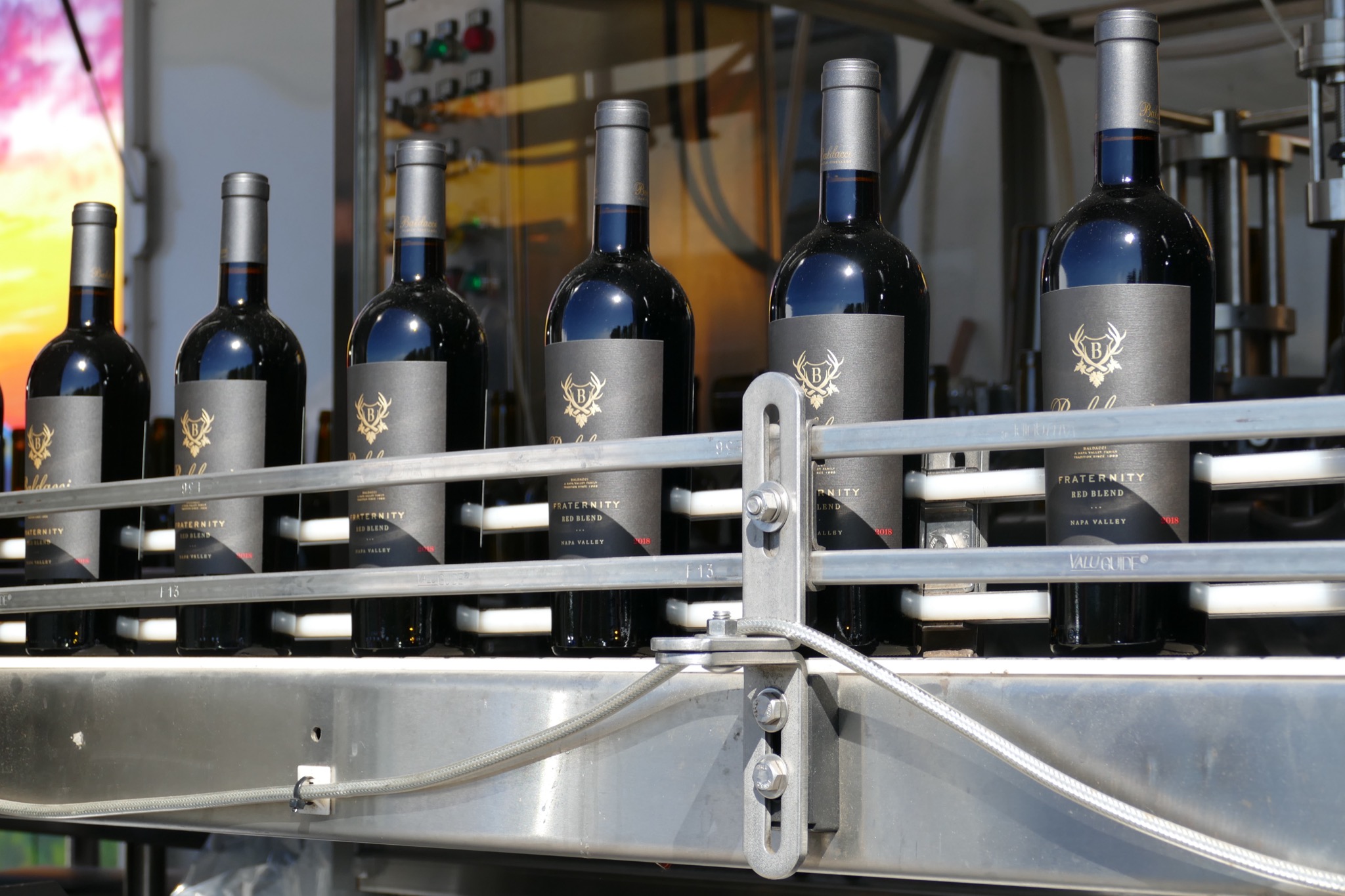 Labeled and capsuled bottles moving along the conveyor as they come off the bottling line