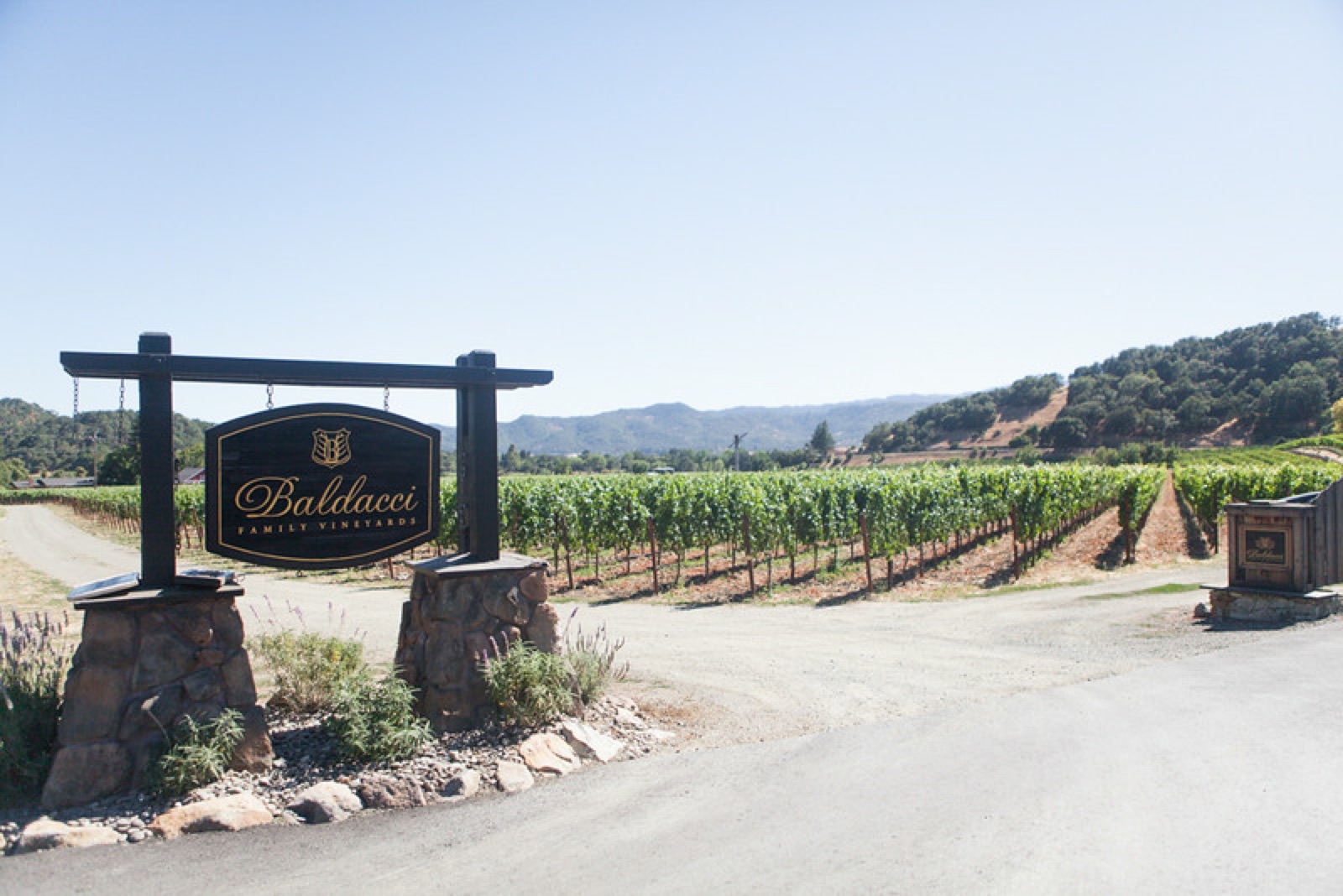 Baldacci Family Vineyards entrance sign on the Silverado Trail with vineyard rows and Napa Valley hills behind