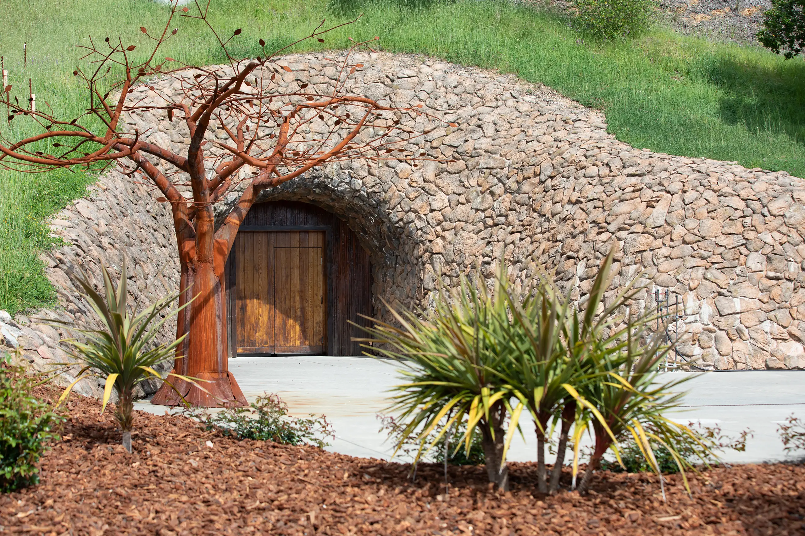 Cave&Vineyard-2