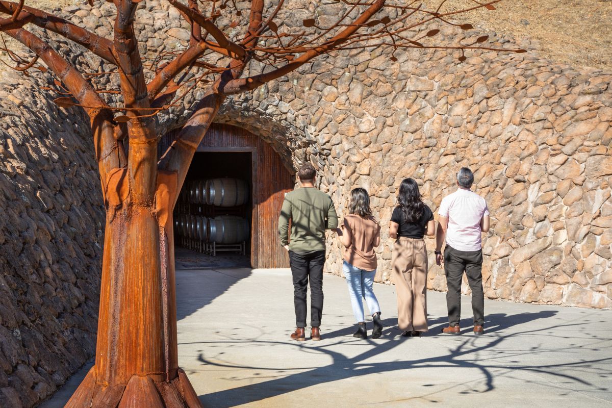 Wine Cave Tour at Baldacci Family Vineyards
