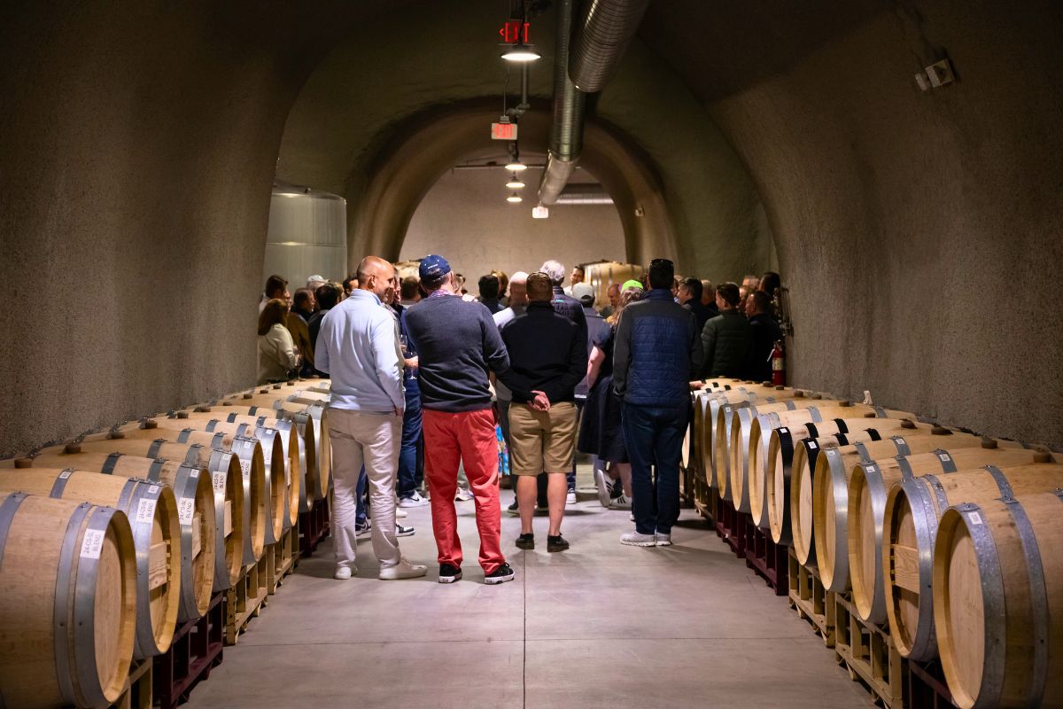 Winemaker Harvest Tour (2)
