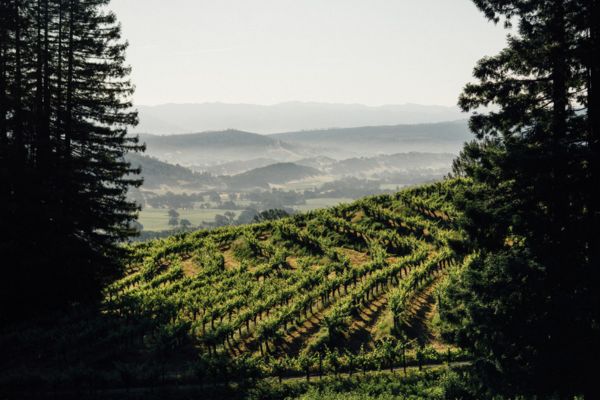 Heitz Ink Grade Vineyard
