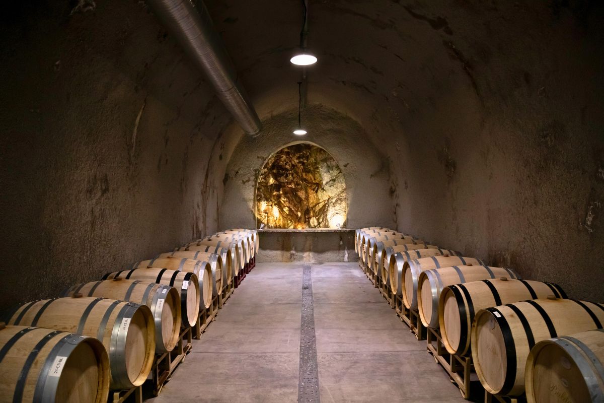 Winemaker's Collection Tasting Cave Tour