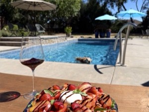 The salad and a glass of Pinot Noir on the table while the dog swims in the pool behind